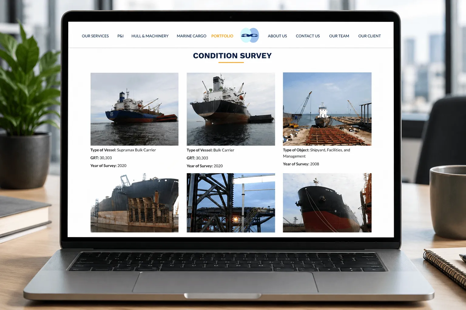Abadisurvey project preview